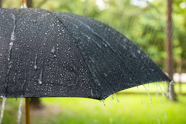 วันที่ฝนตก หยาดฝนตกลงบนร่มสีดํากลางแจ้ง ฤดูใบไม้ผลิ ฤดูร้อน ภาพสต็อก - ดาวน์โหลดรูปภาพตอนนี้ - iStock